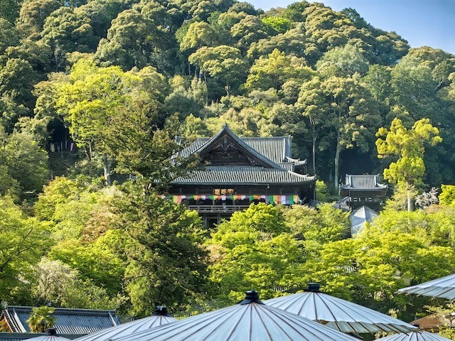 第八番 豐山 長谷寺